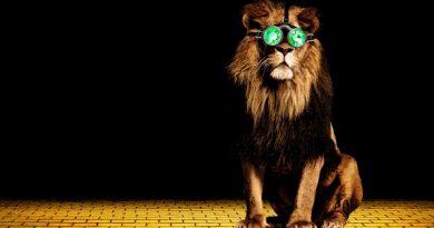 A large lion with emerald green steam punk glasses sits on the centre right of a yellow brick road which fades into blackness