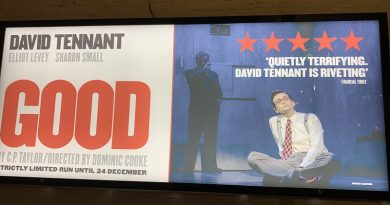 David Tennant Good Review