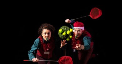 Review of Yule Be Merry at St Werburghs City Farm by Brave Bold Drama. The image shows two people with nets behaving in a chaotic way. It feels festive and fun