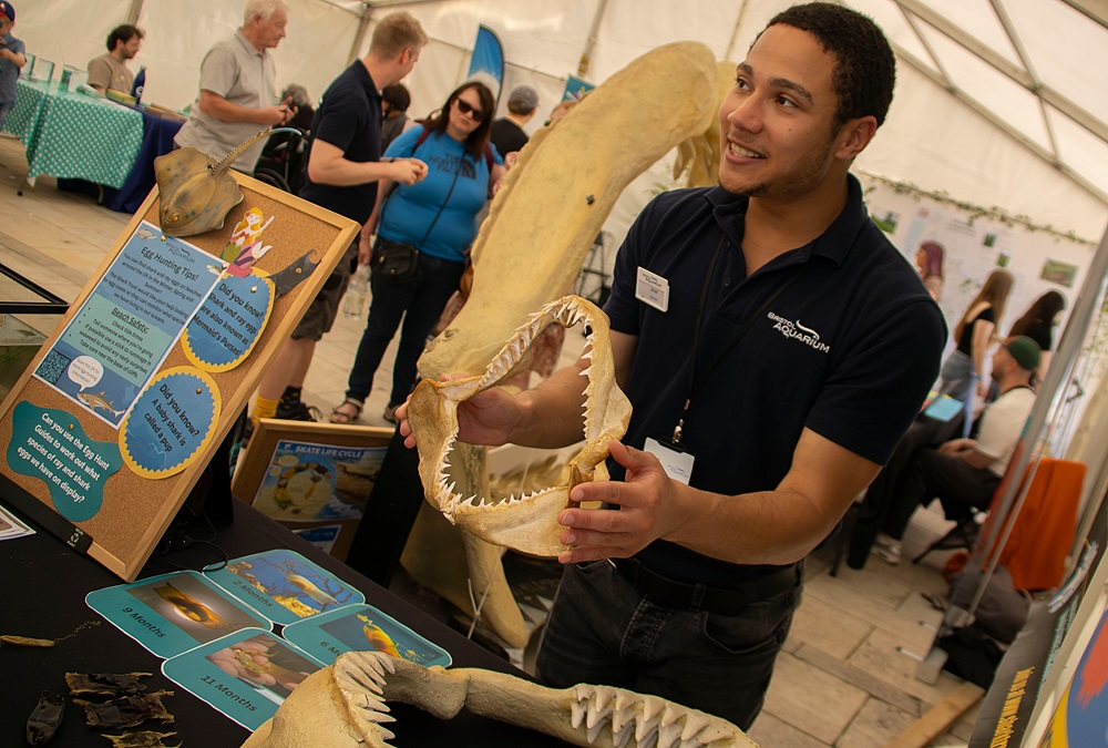 Bristol Festival of Nature