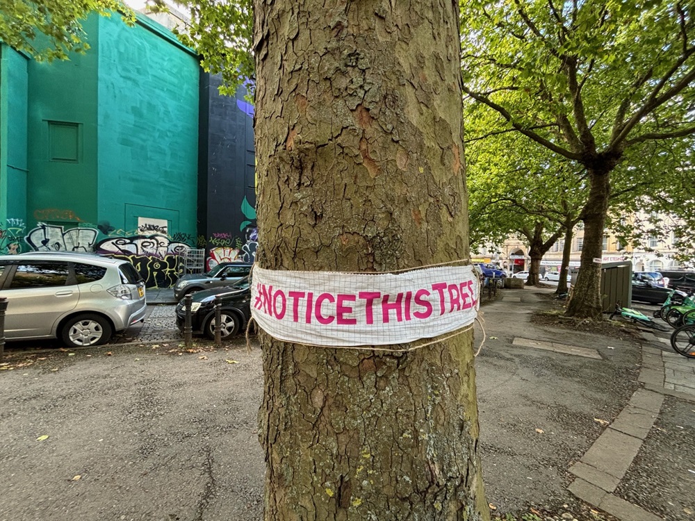 #NoticeThisTree Bristol