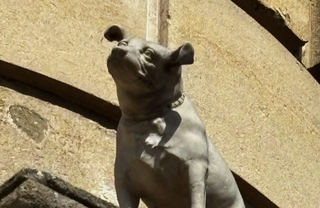 HMV Nipper Bristol
