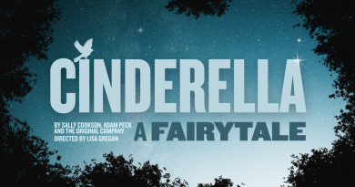 Cinderella A Fairlytale Bristol Old Vic