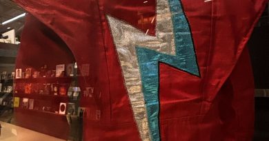 David Bowie Jacket Aladdin Sane