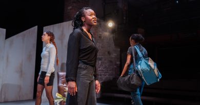 Etienne Sisters review BOVTS