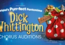 Dick Whittington Auditions for Redgrave Theatre