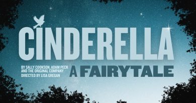 Cinderella a fairytale Bristol Old Vic