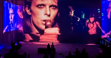 David Bowie You're Not Alone Lightroom