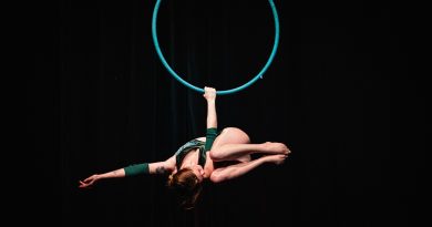 Emba Wimbush Aerial Hoop Circomedia