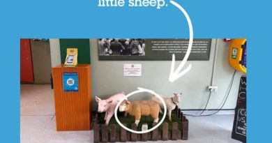 Windmill Hill City Farm vandalism