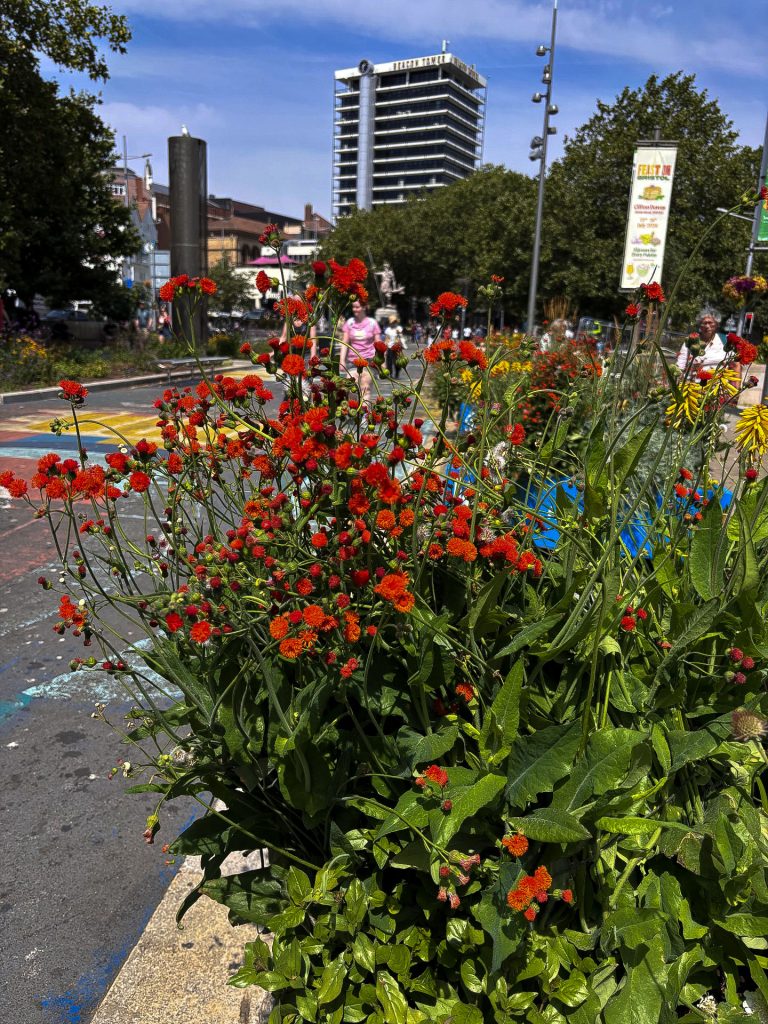 Planters Bristol City Centre