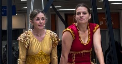 Bristol Circus City Entertains Broadmead